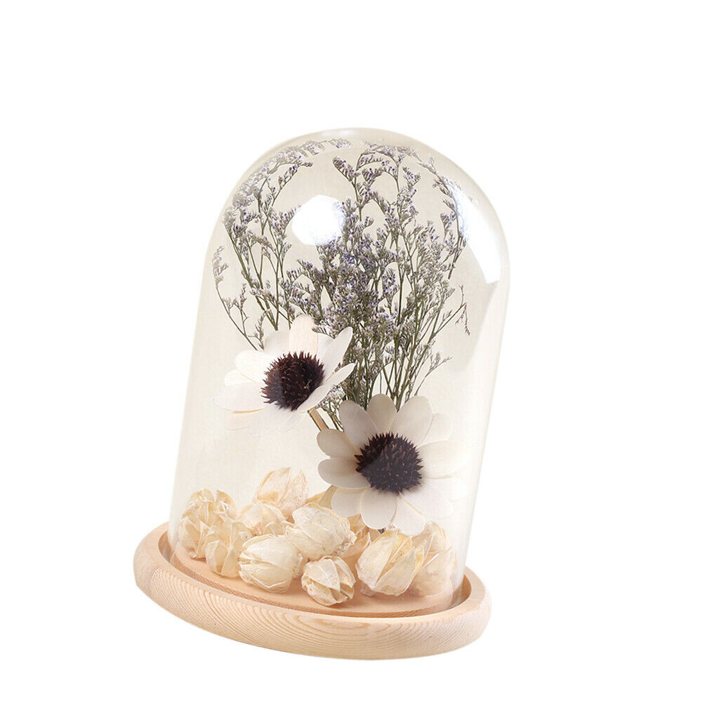 Glass Cover Landscape Vase Pot Terrarium Plant Flowers Decoration #4 12x18