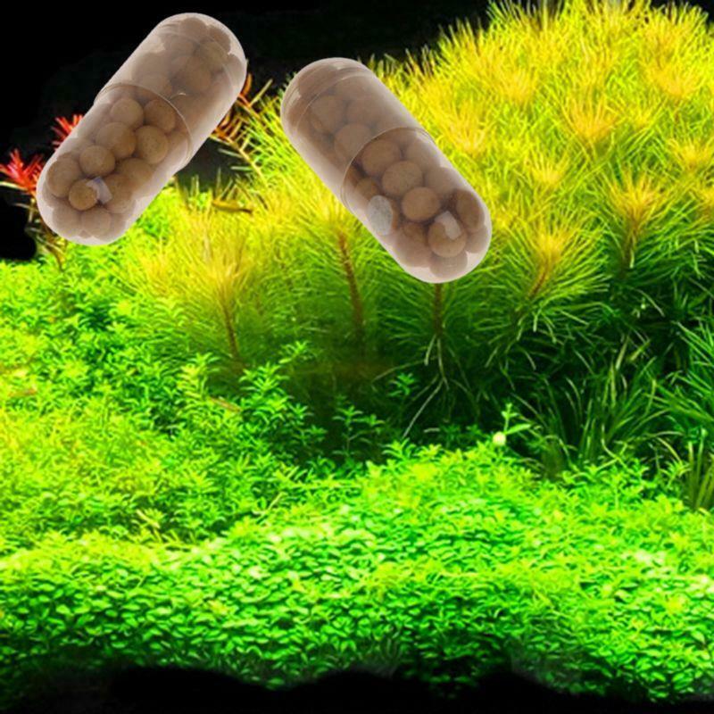 40 Pcs Aquatic Plant Water Root Fertilizer Condensed Aquarium Fish Tank Cylinder