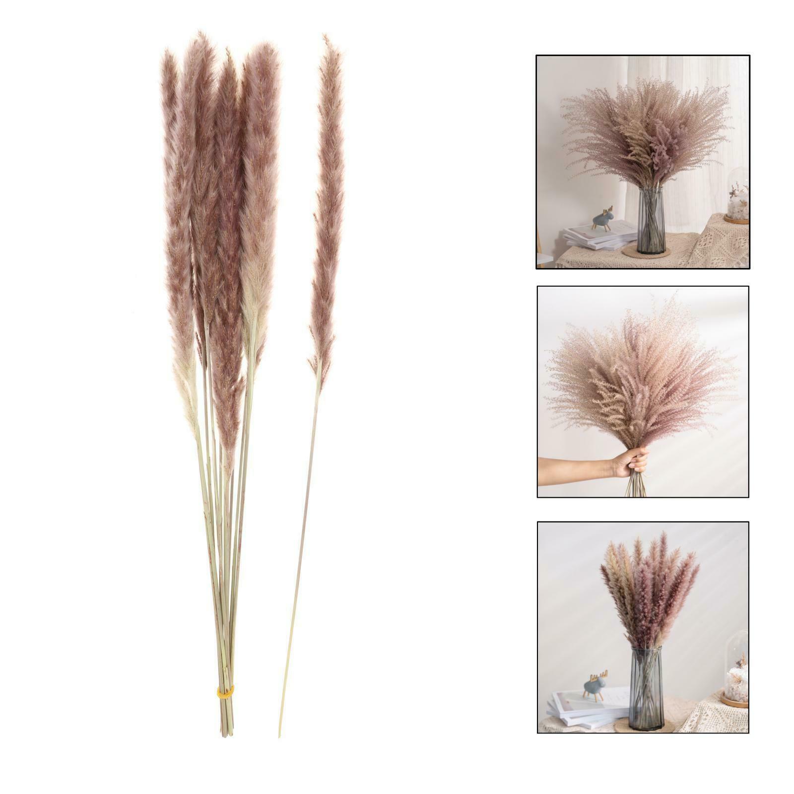 Pack of 70 Natural Dried Pampas Grass Home Party Boho Decor Photograph Props