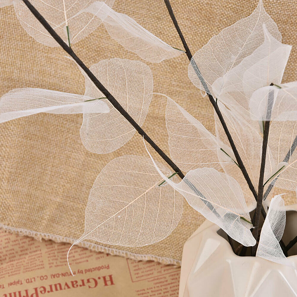 Natural white bodhi foliage and foliage Dried flowers for home decorati.l8