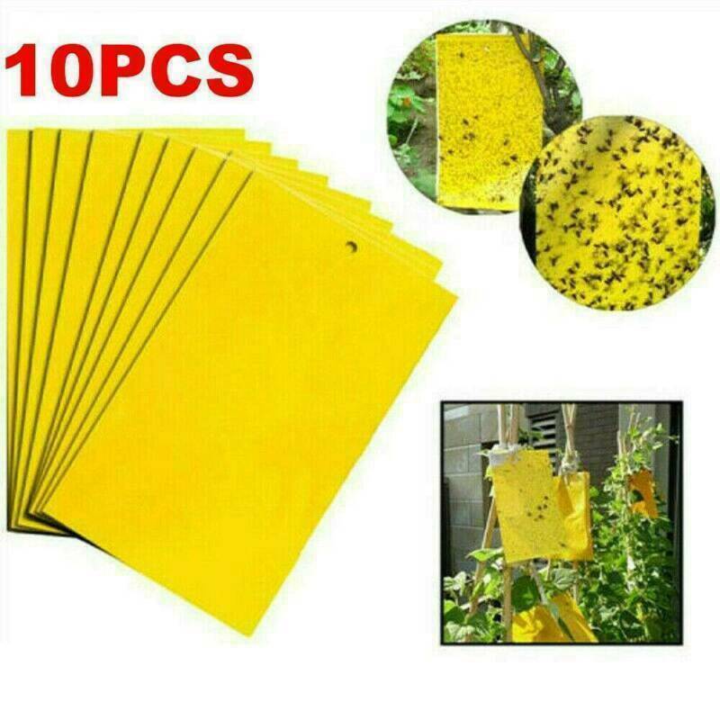 10Pcs Yellow Sticky Insect Killer Whitefly Thrip Fruit Fly Gnat Leafminer Traps