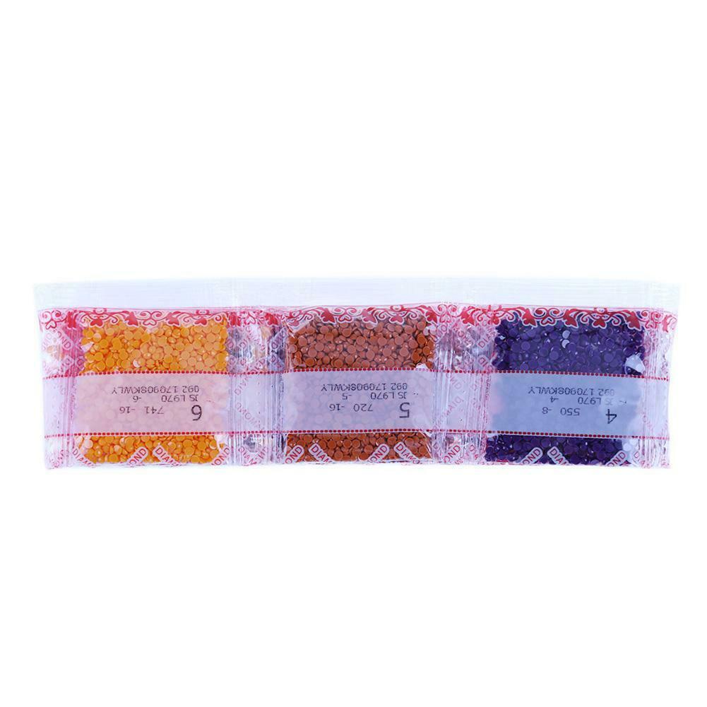 5D Full Drill DIY Diamond Painting Woman Back Cross Stitch Home Decoration