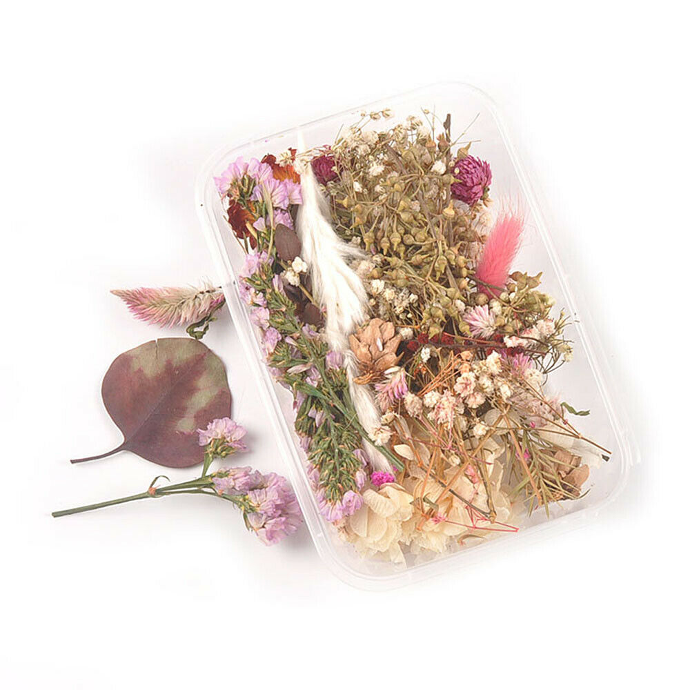 1 Box Mixed Dried Flower Eucalyptus Photo Frame Handmade Soap Candle Epoxy DIY