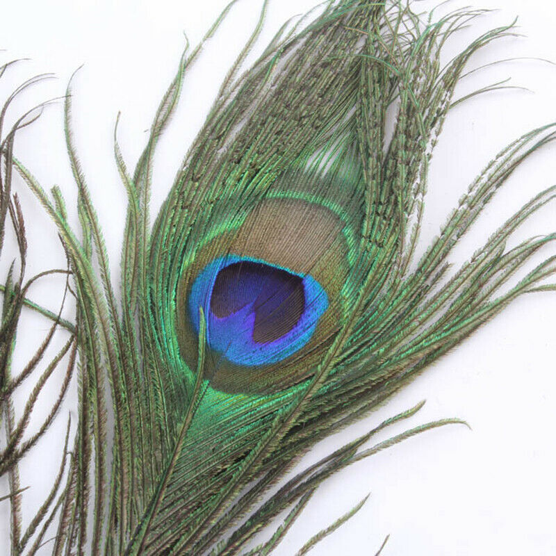 10-12 inches Natural Peacock Feathers with Big Natural Eyes 10pcs