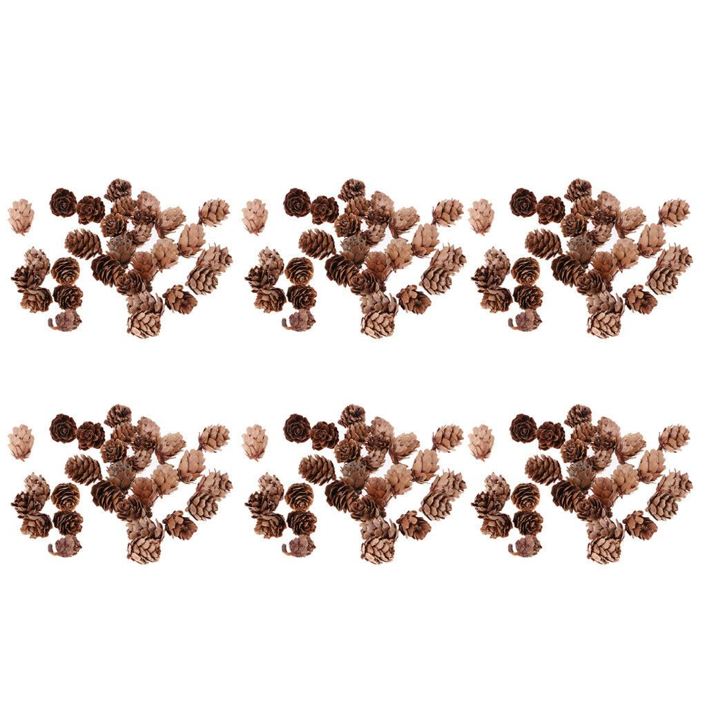 180pcs Small Natural Dried Pine Cones In Bulk Dried Flowers for Christmas Decors