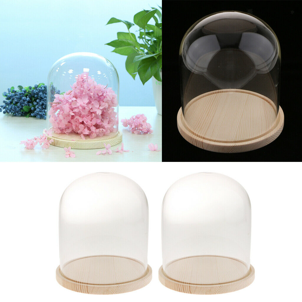 2-pack Clear Festival Glass Dome with Wooden Base Display Bell Jar Case