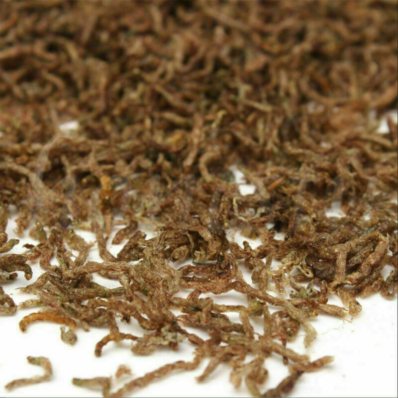 10grams Freeze Dried Blood Worm Fresh Tropical Fish Discus Tetra Food Feeding