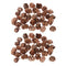 60 Packs Pine Cones Decorative Nuts Pinecone Tree Ornament Home Supplies