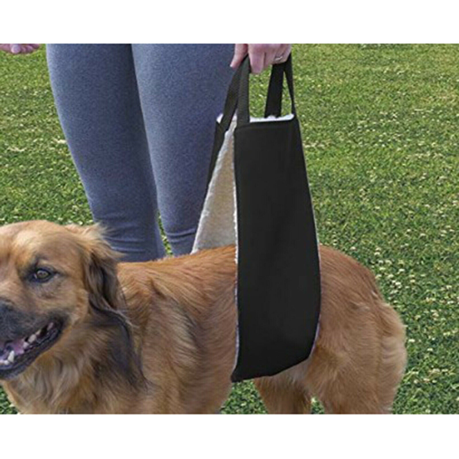 Premium Dog Lift Sling Padded Legs Support Harness Old K9 Rear Legs Band