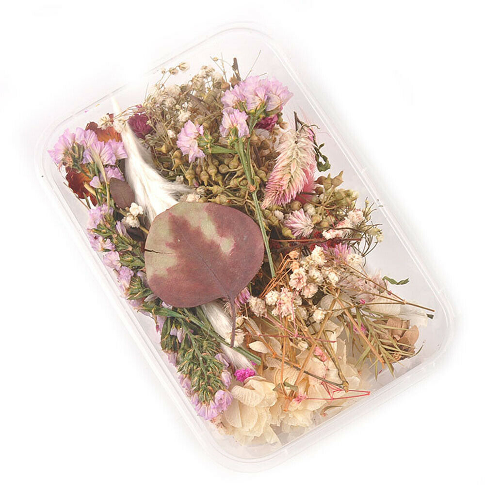 1 Box Mixed Dried Flower Eucalyptus Photo Frame Handmade Soap Candle Epoxy DIY