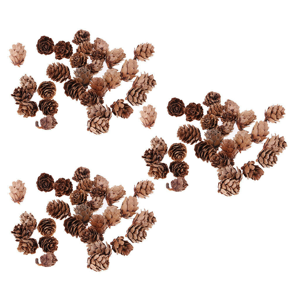 90pcs Natural Mini Pine Cone For Home Wedding Decoration Christmas Tree Decor