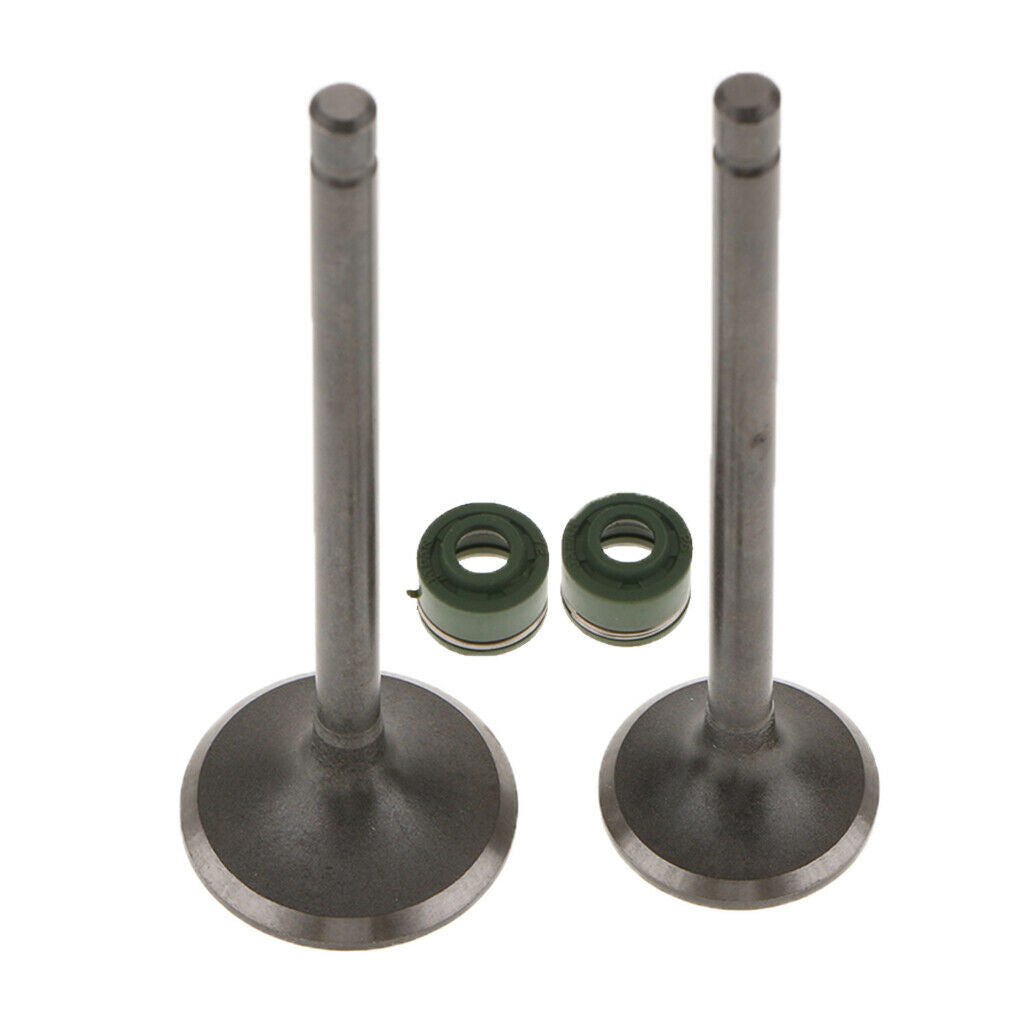 Intake Exhaust Valve Kit With Rubber Valve Stem Seals For  CG125 125cc