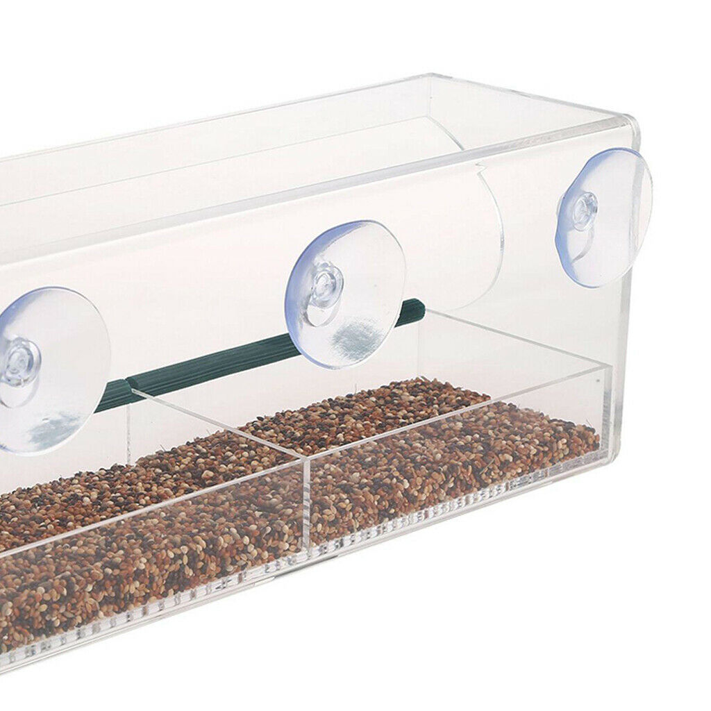 Hanging Window Bird Feeder Clear Wild Bird Feeder Outside View Up Close Bird