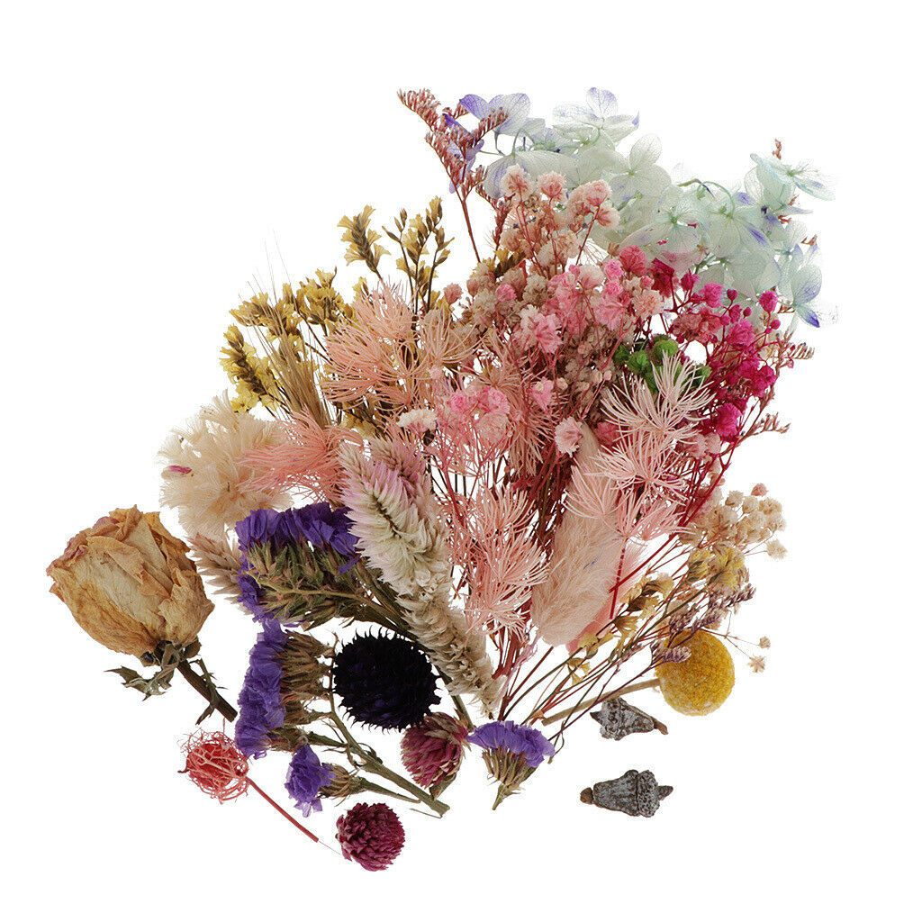 Dried Flowers Rose Decoration For Candle Making Scrapbooking Home Decor