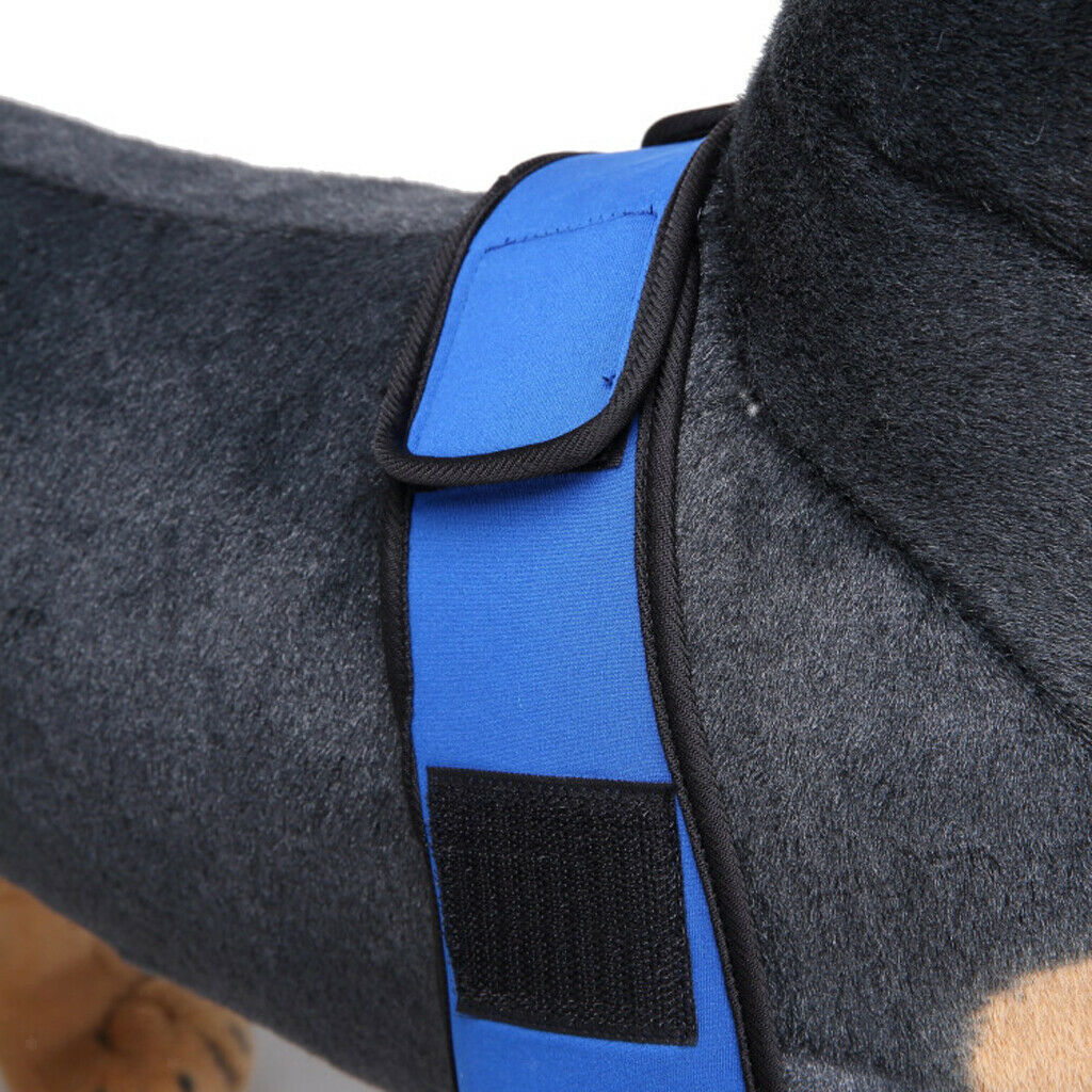 Dog knee joint support front leg compression strut protector blue - w