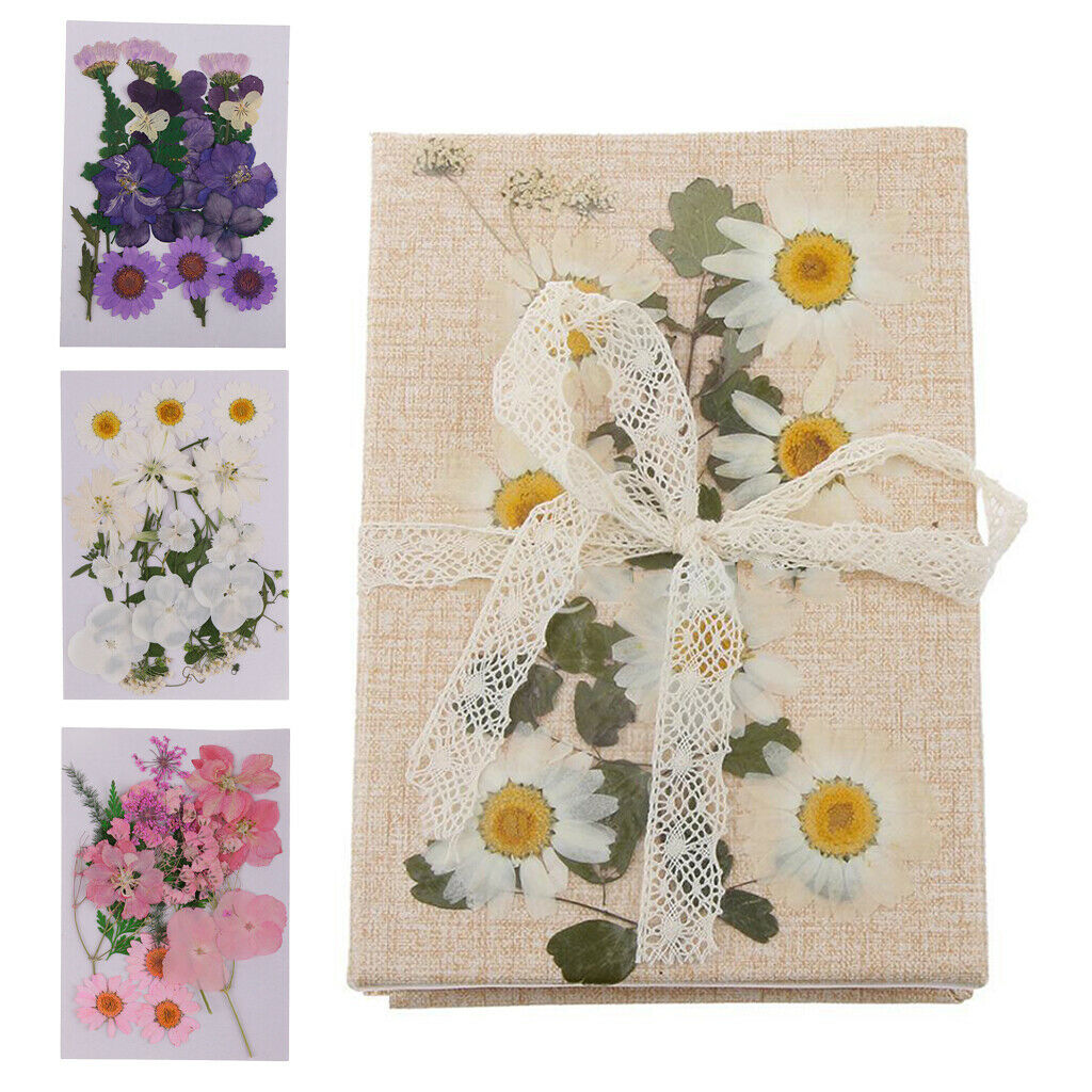 3 Bags Mix Natural Dried Pressed Flowers, Leaves, Crafts And Crafts 2-3.5 Cm
