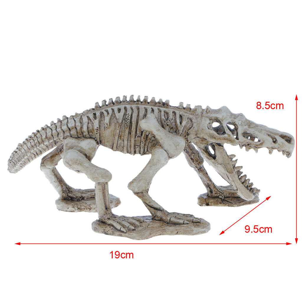 Decorative Ornament for Reptile Terrarium Vivarium Decor#6 Dinosaur Skeleton