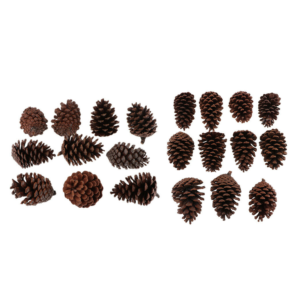 20x Real Pine Cone Dried Big Pinecones For DIY Wreath Hanging Ornaments