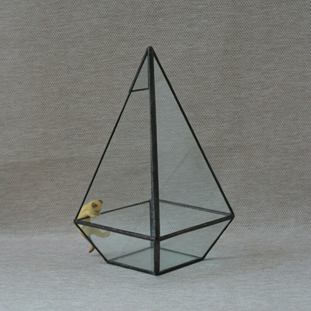 Pyramid Glass Geometric Terrarium Box Tabletop Succulent Planter Black