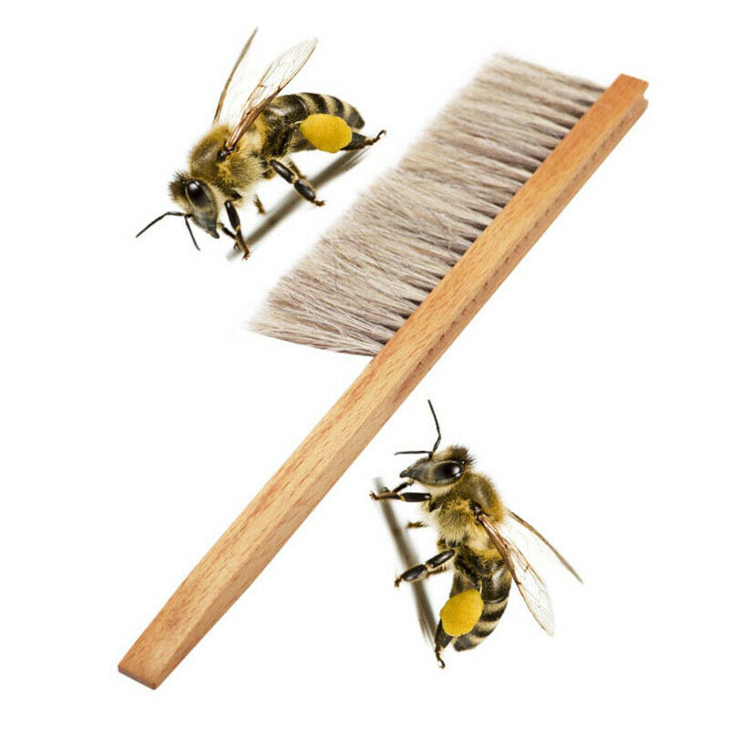 Wood Honey Brush Wasp bee Sweep Two Rows Of Horse Tail Hair Beekeeping To XC