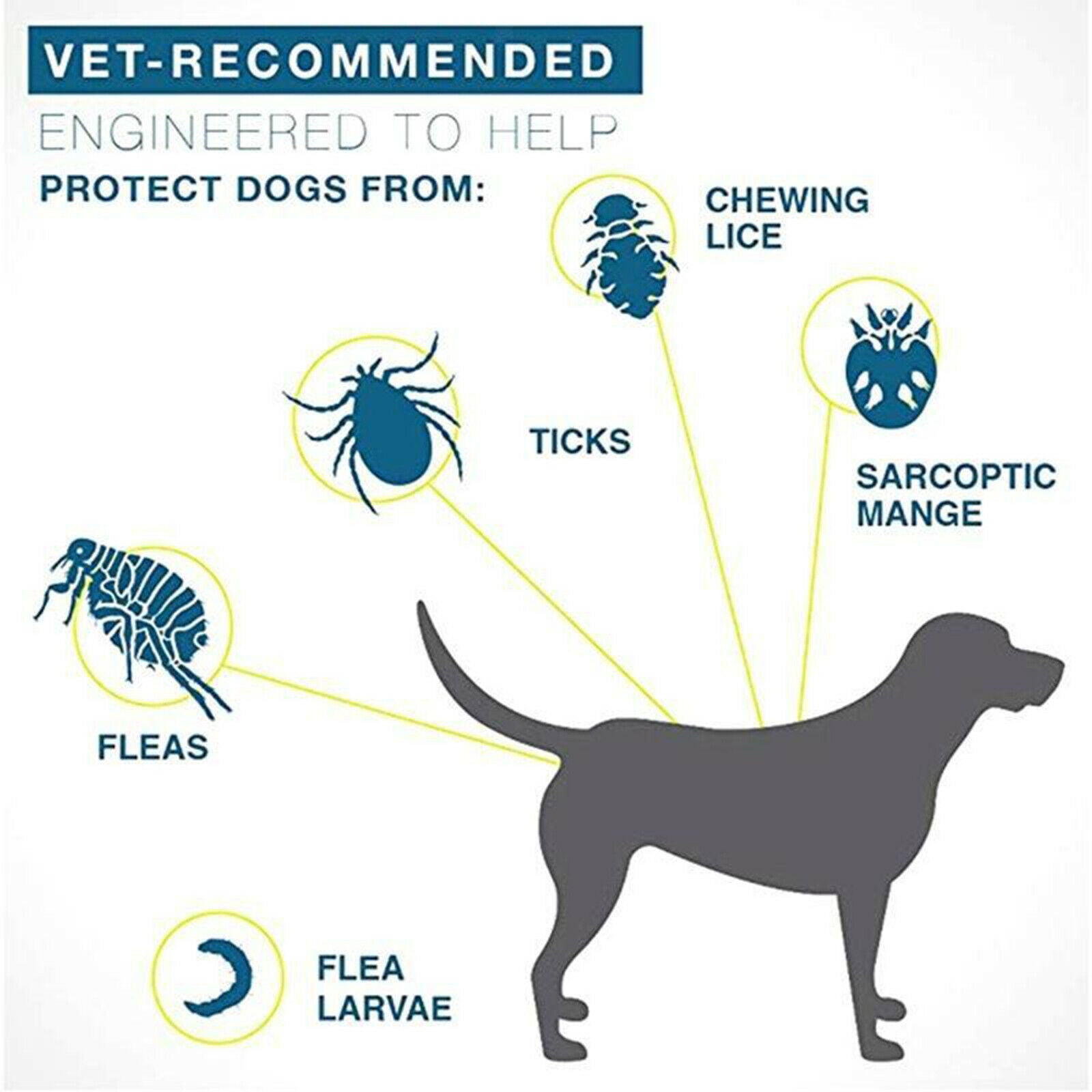 Dog Cat Flea and Tick Collar Prevention Natural Waterproof White for Dog