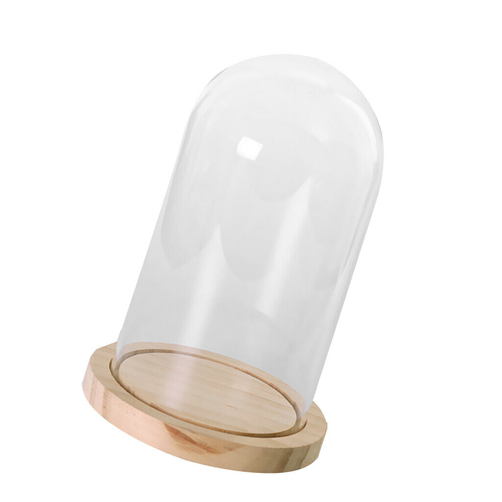 Glass Cover Landscape Vase Terrarium Round Wood Tray Flower Decor Gift L
