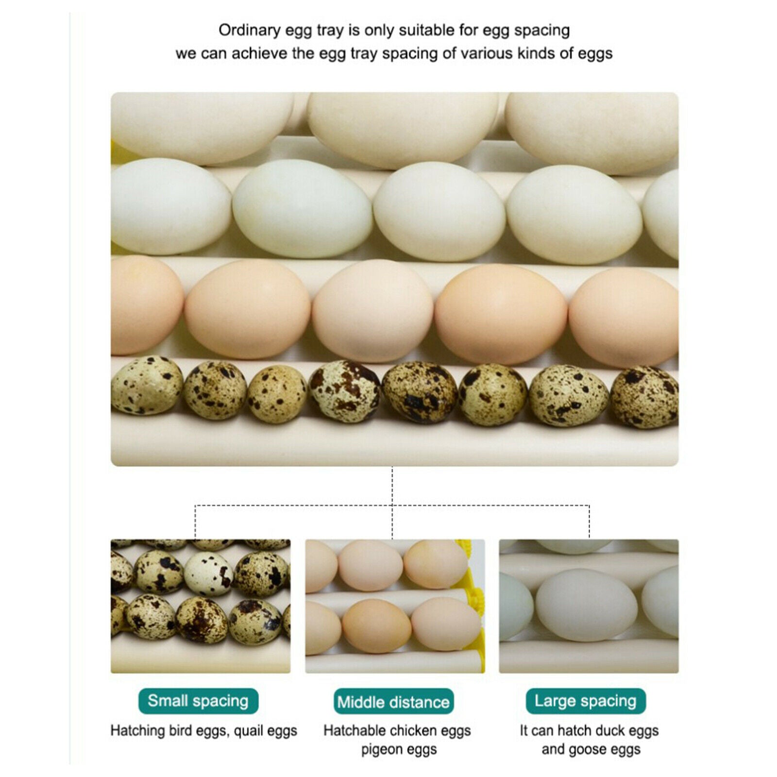 Egg Incubator Tray 360Â° Rotary Automatic Egg Turner Duck Quail 220V 9 Tubes