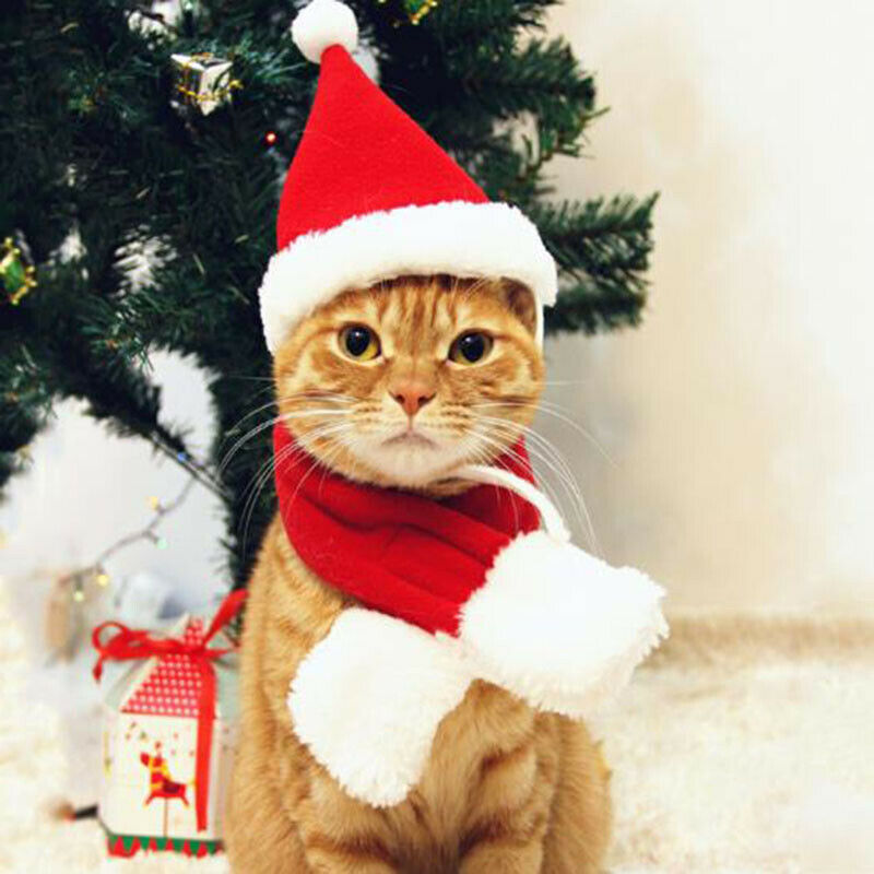 Pet Dog Cat Christmas Hat Scarf Kit for Cats Dogs Puppies Xmas Decoration Kit