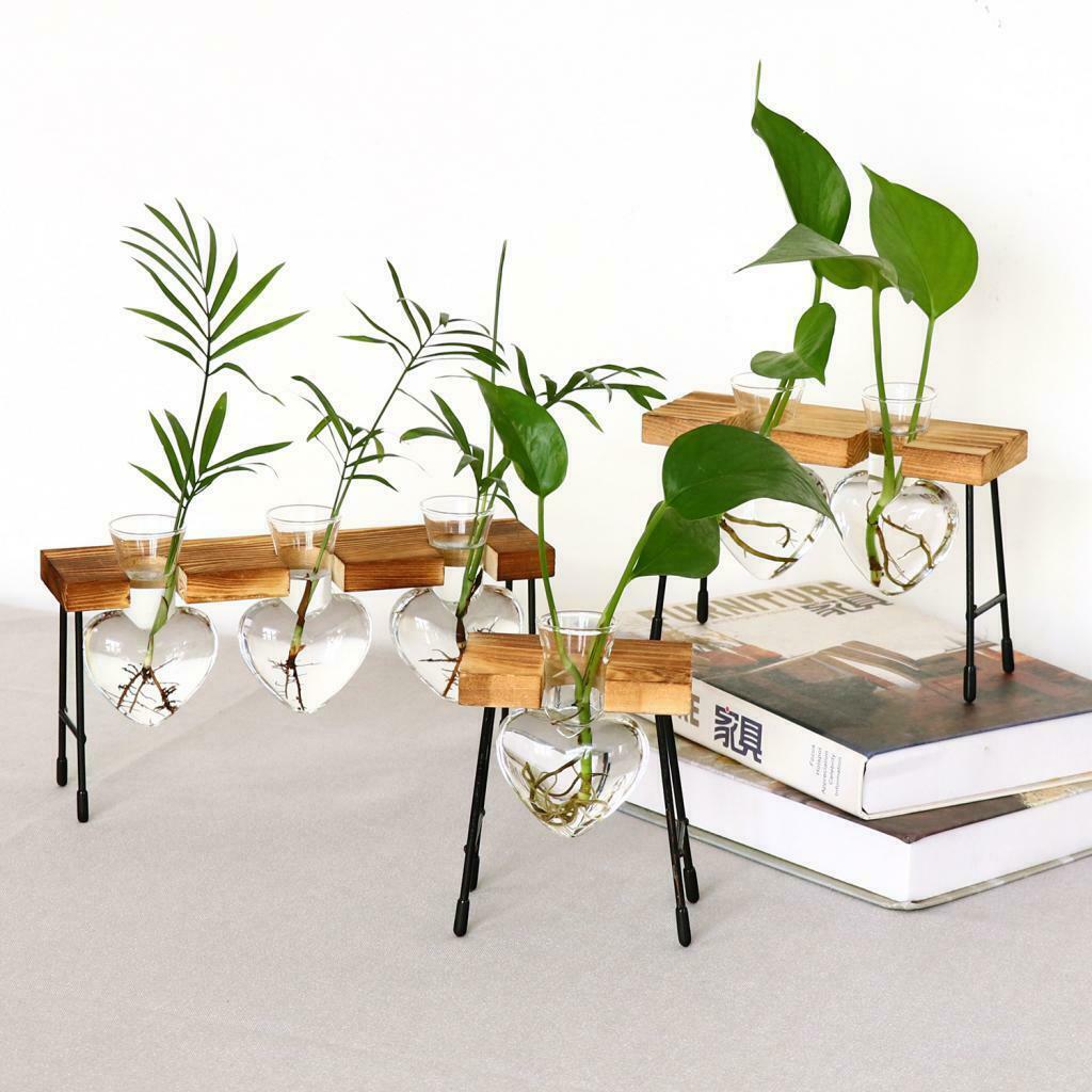 Test Tube Flower Vase ChairWooden Stand for Hydroponic Plant 1 Bottle