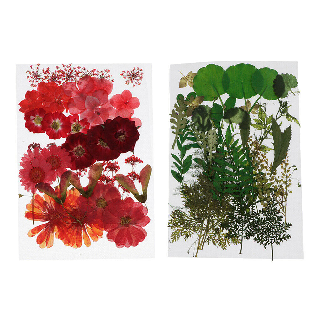 2pcs Real Dried Flowers Leaves DIY Scrapbooking Card Making Floral Crafts