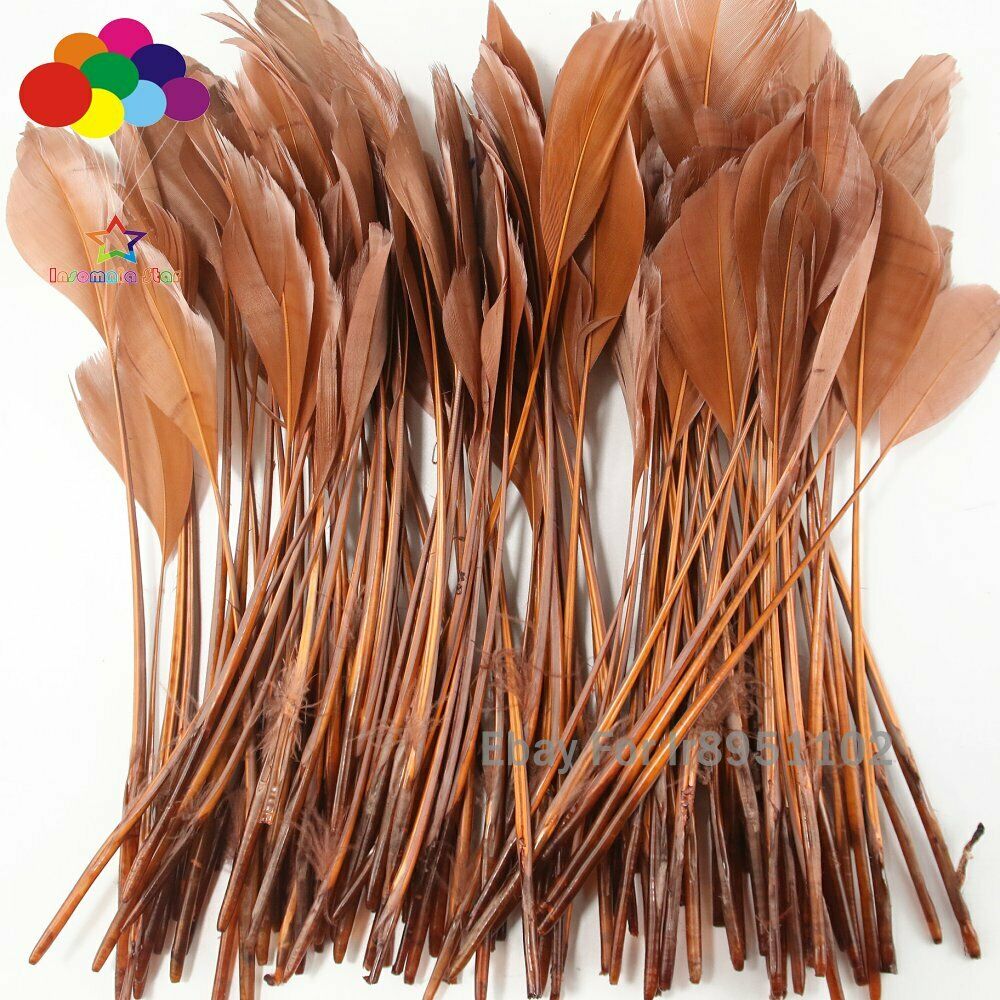 15-20CM 100 Pcs DIY Brown Rooster Tail Feather Clothing Party Decoration Coque