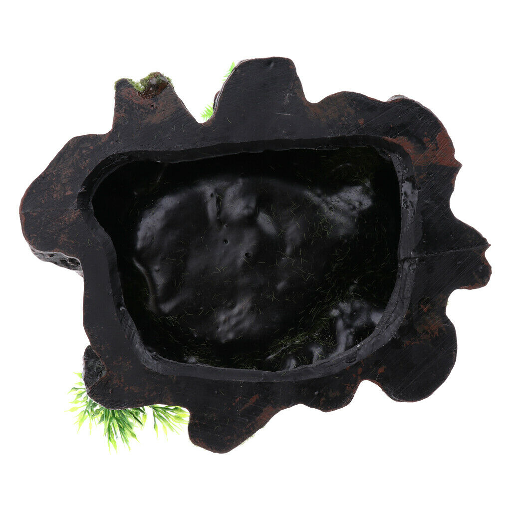 Plant Moss Decor Anqique Rock Style Water Bowl Food Dish Terrarium Habitat Decor