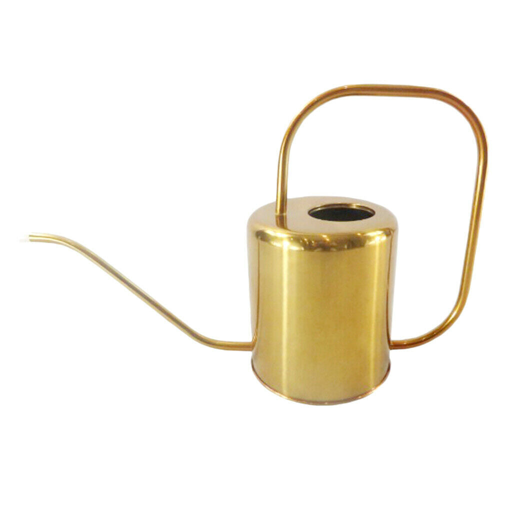 Rustproof Metal Can Sprayer Irrigation Tool Indoor Flowers Bonsai Herbs