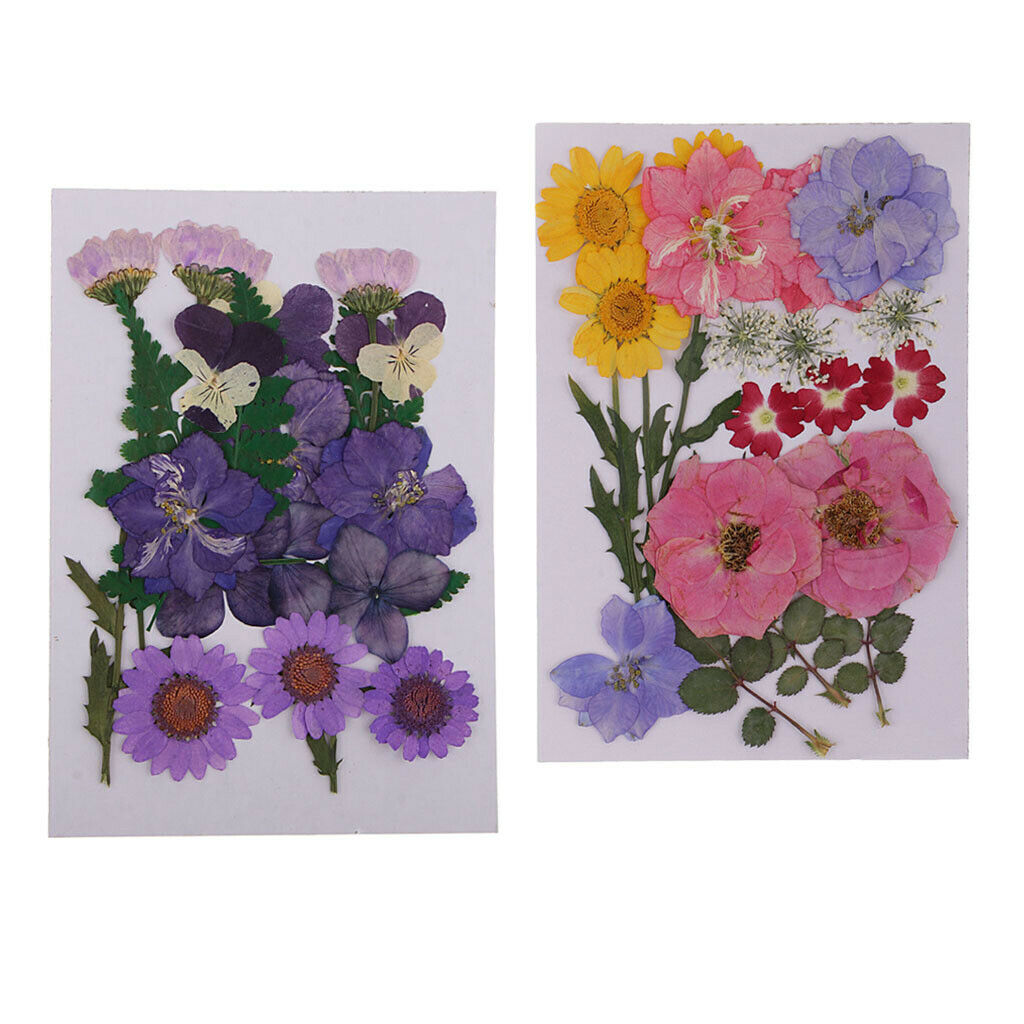2pack Real Dried Flowers Leaves Embellishments Soap/Candle Filling Decors