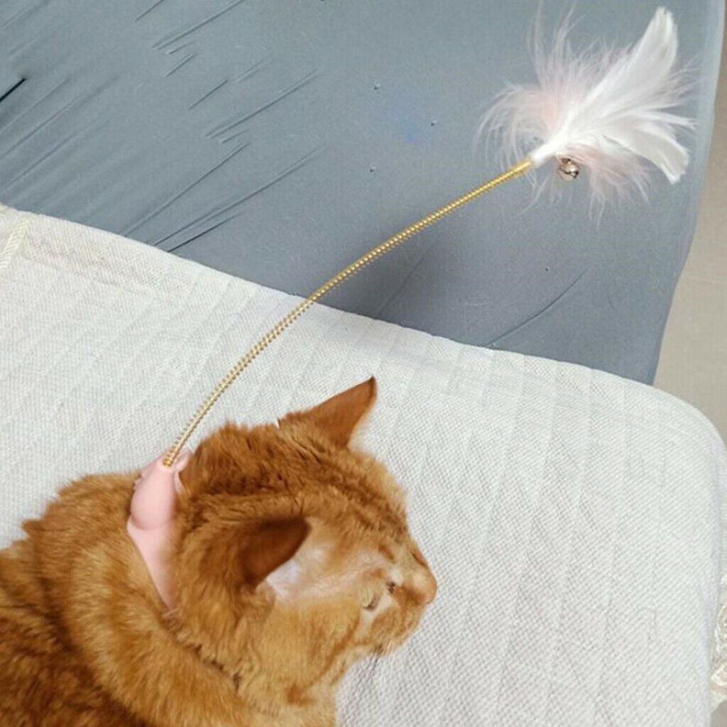 Pet Cat Feather Teaser with Collar Toys Wand for Exercising Training Chasing