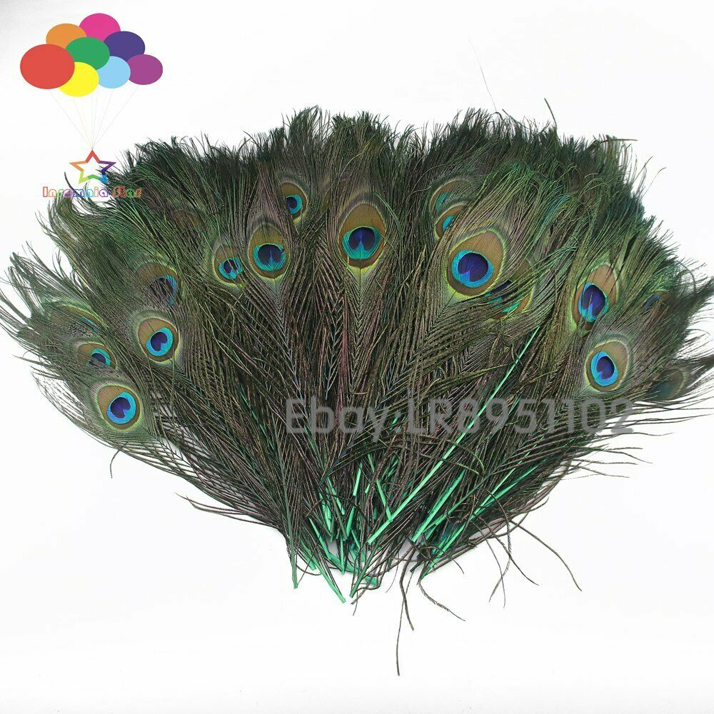 100pcs Peacock Tail grass green 25-30cm Feather Eyes Decoration Wedding Party