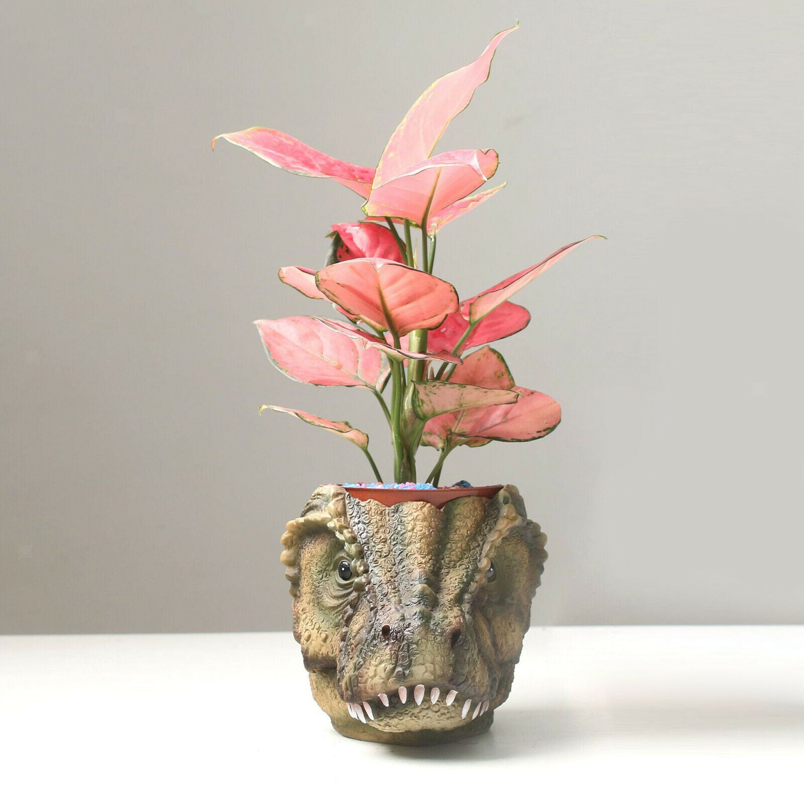 1pc Dinosaur Flower Pot Small Plants Animal Planter Crafts Ornaments Gifts