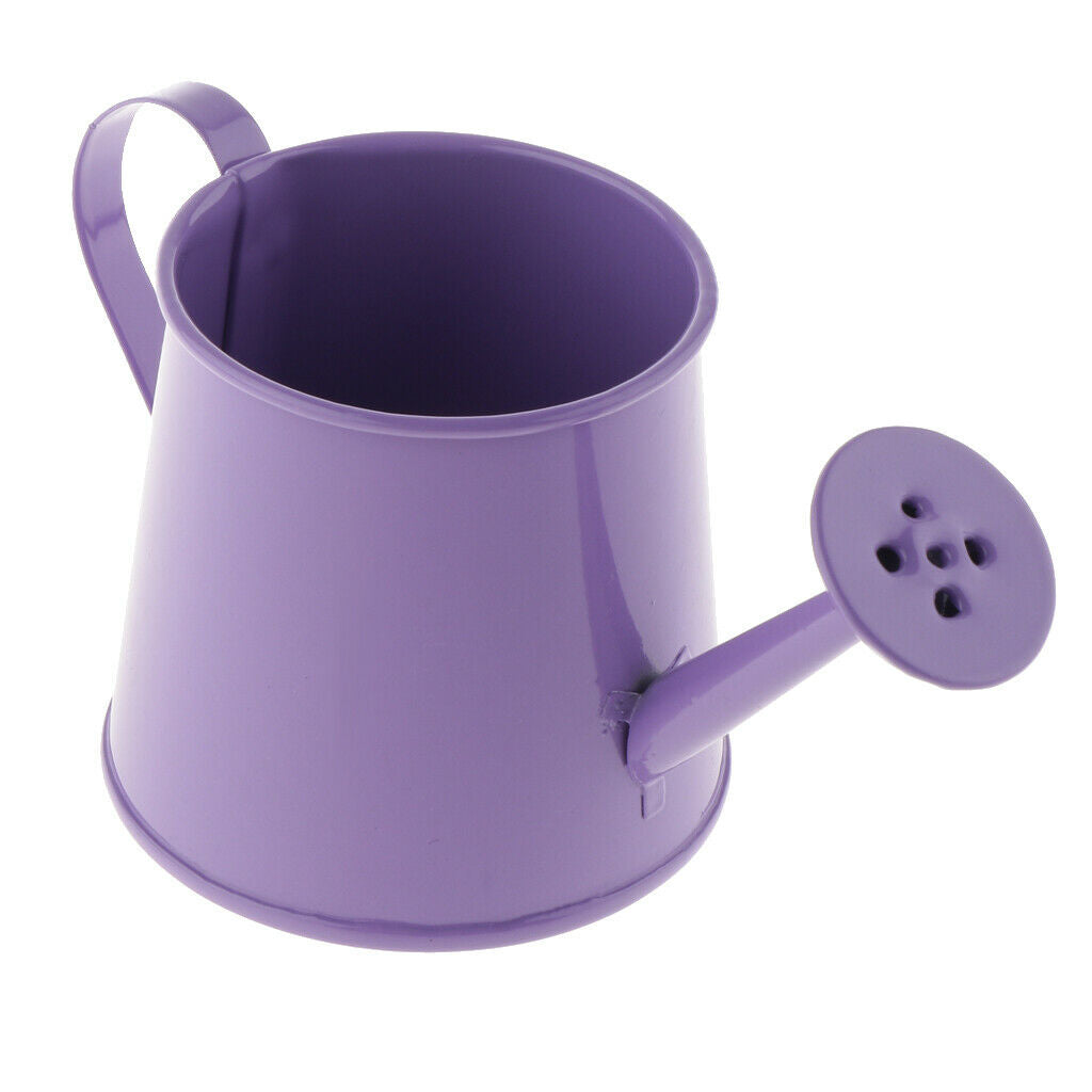 2x Nordic Style Garden Watering Can Watering Pot Mini Plant Spray Kettle