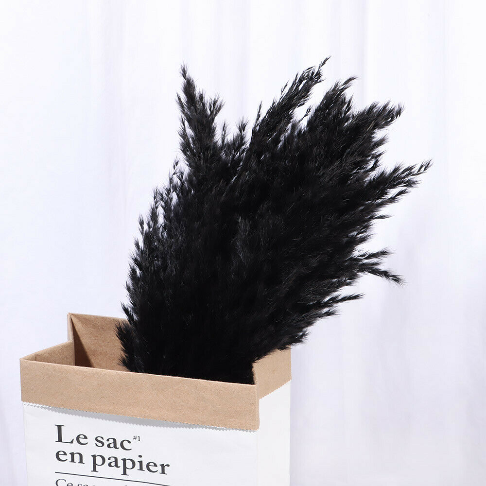 Material Pampas Grass Real Flower Reed Natural Dried Bouquets Plant Stems