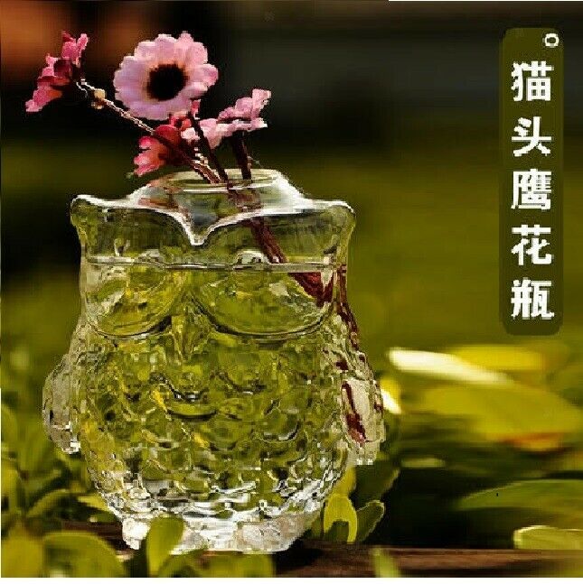 Glass Flower Planter Hydroponic Vase Terrarium Container