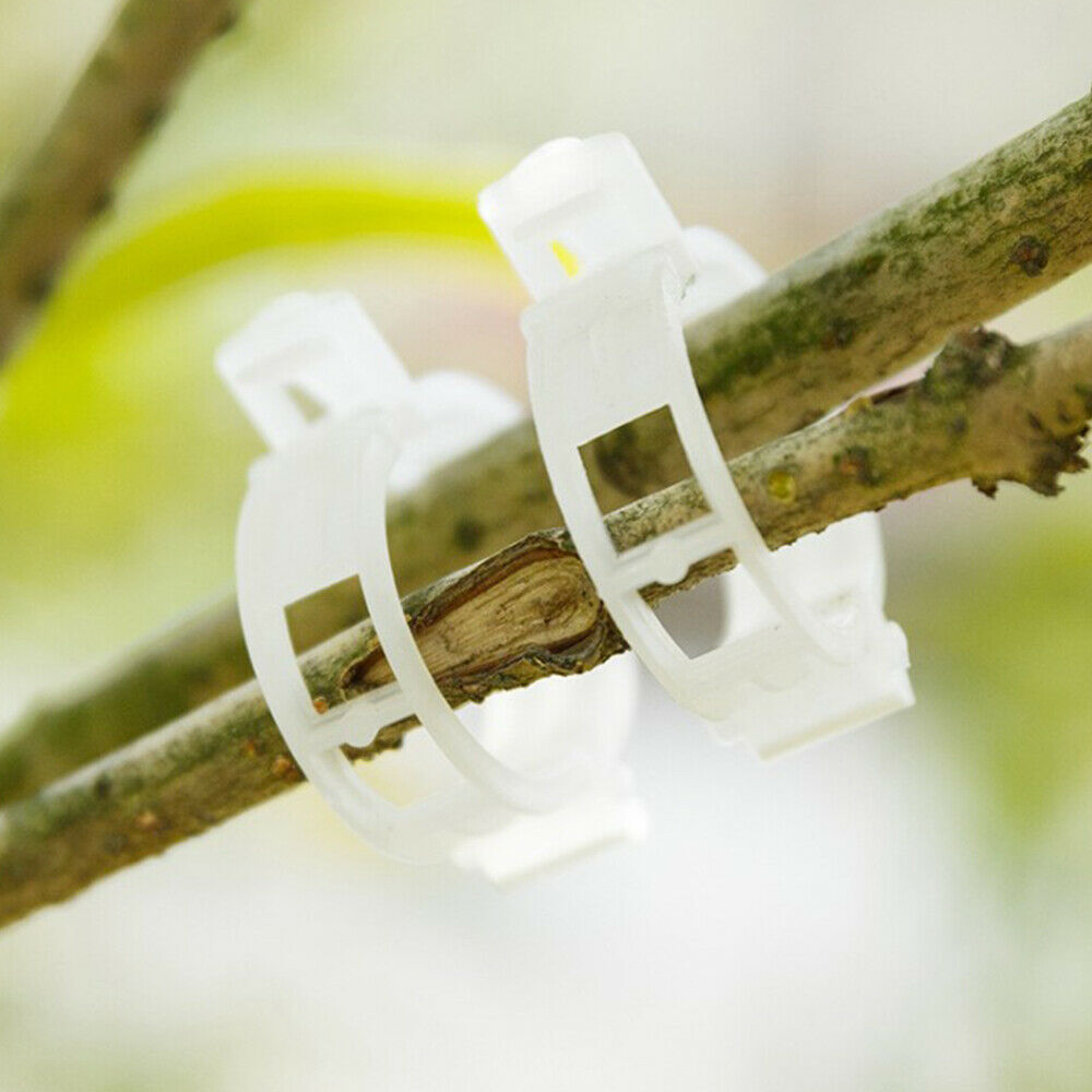 50Pc Garden Supplies Plant Clips Plant Fixing Clips Garden Plants  Clamping Tool