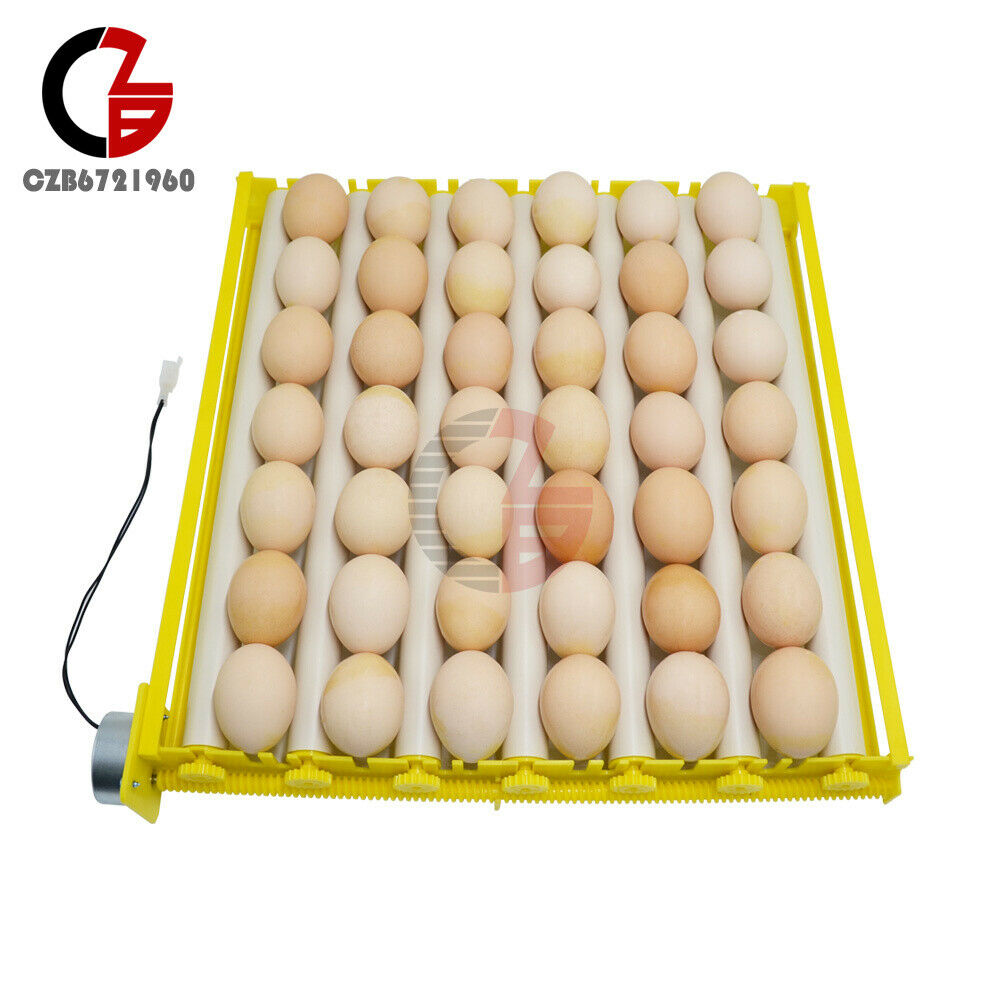 Eggs Brooder Roller Tray Turner Full Incubator Household Automatic Rotary Tool