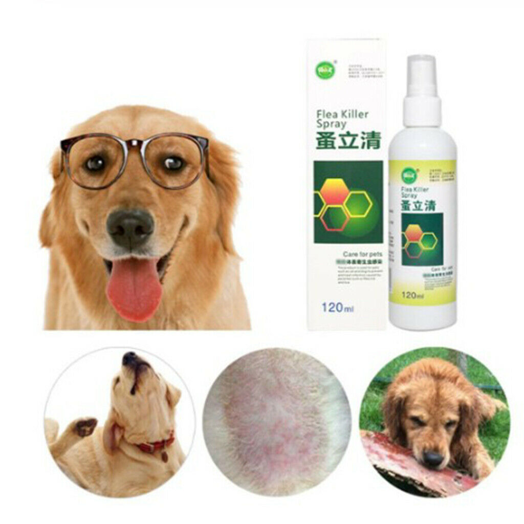 2Pieces 120ml Pet Flea Killer Spray Flea Cat Dogs Treatment for Cat Dogs