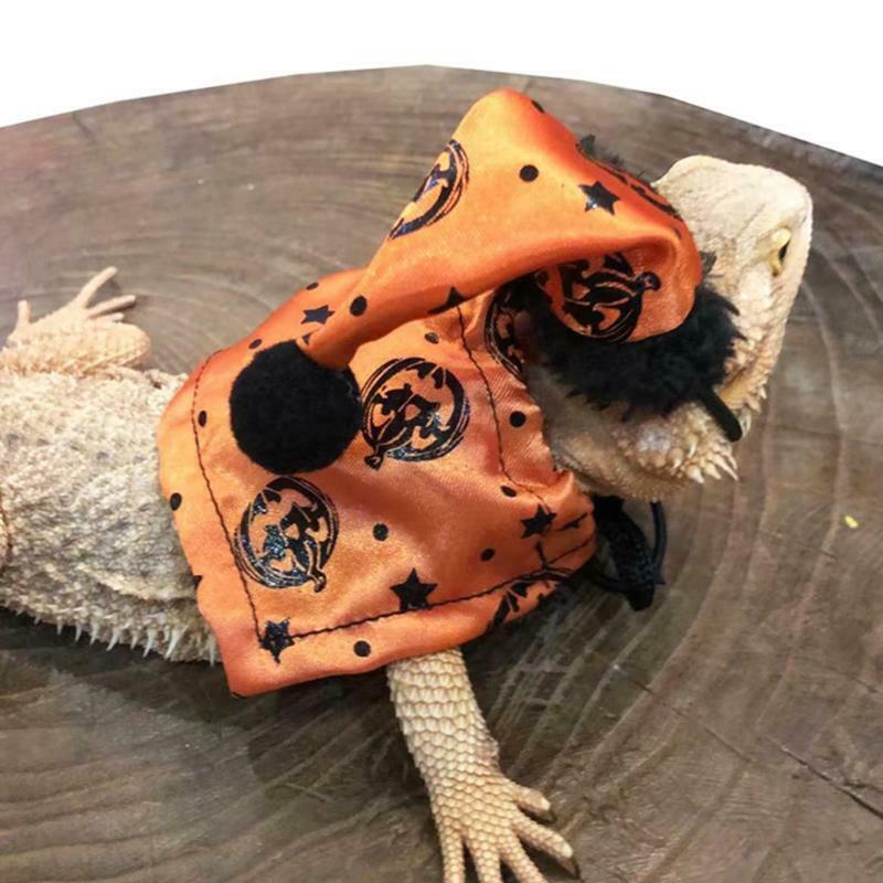 Halloween Hat and Cloak for Reptiles Photo Props Adjustable Lizard Costume Set
