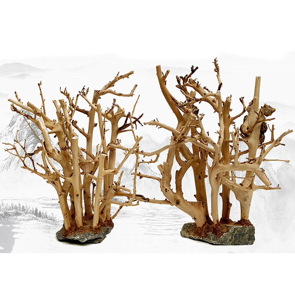 Small Forest Skeleton Wooden Branchâ€‹ Fish Tank Aquarium Landscape Ornament Decor