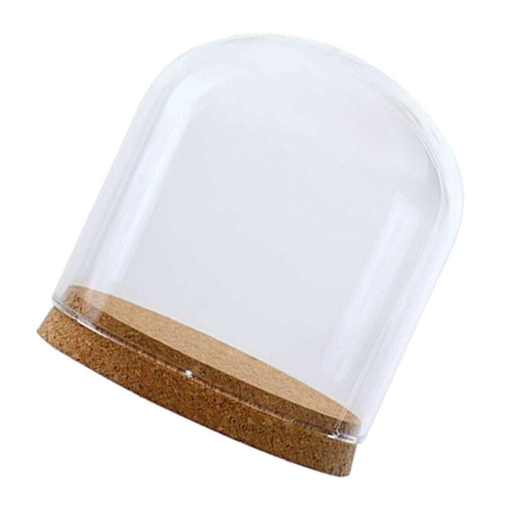 2xClear Glass Cloche Dome Cover Landscape Terrarium Container with Base S
