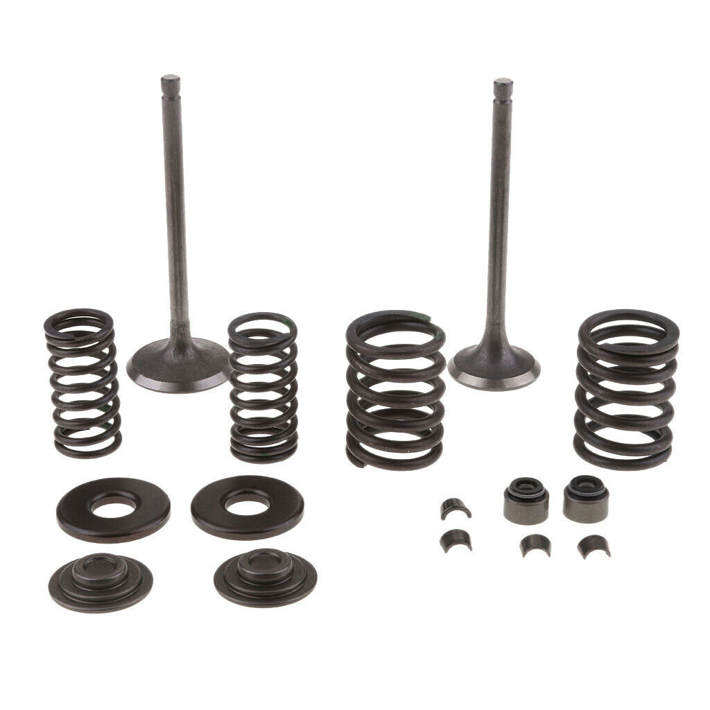 250CC Engine Valve Kit Scooter Engine Valves Engine Valve Springs For Scooter