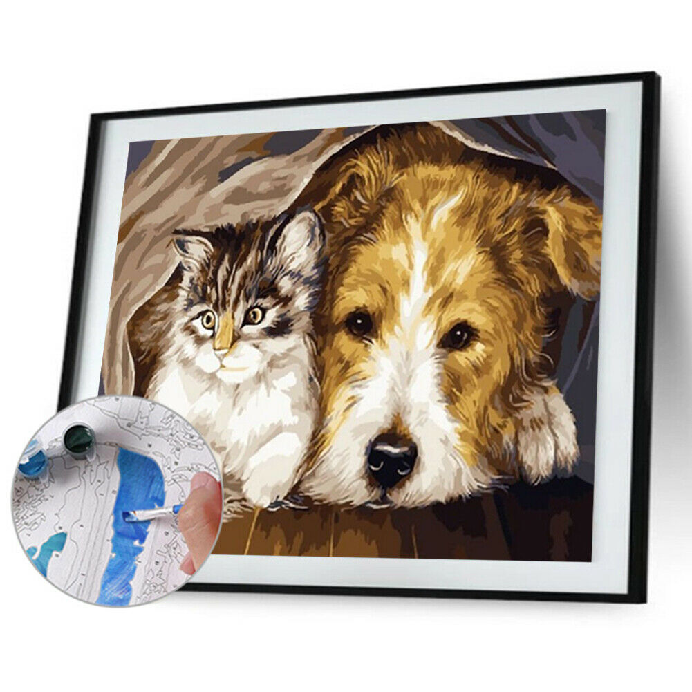 DIY Digital Oil Painting By Numbers Staying Dog Cat Acrylic Animal Picture @