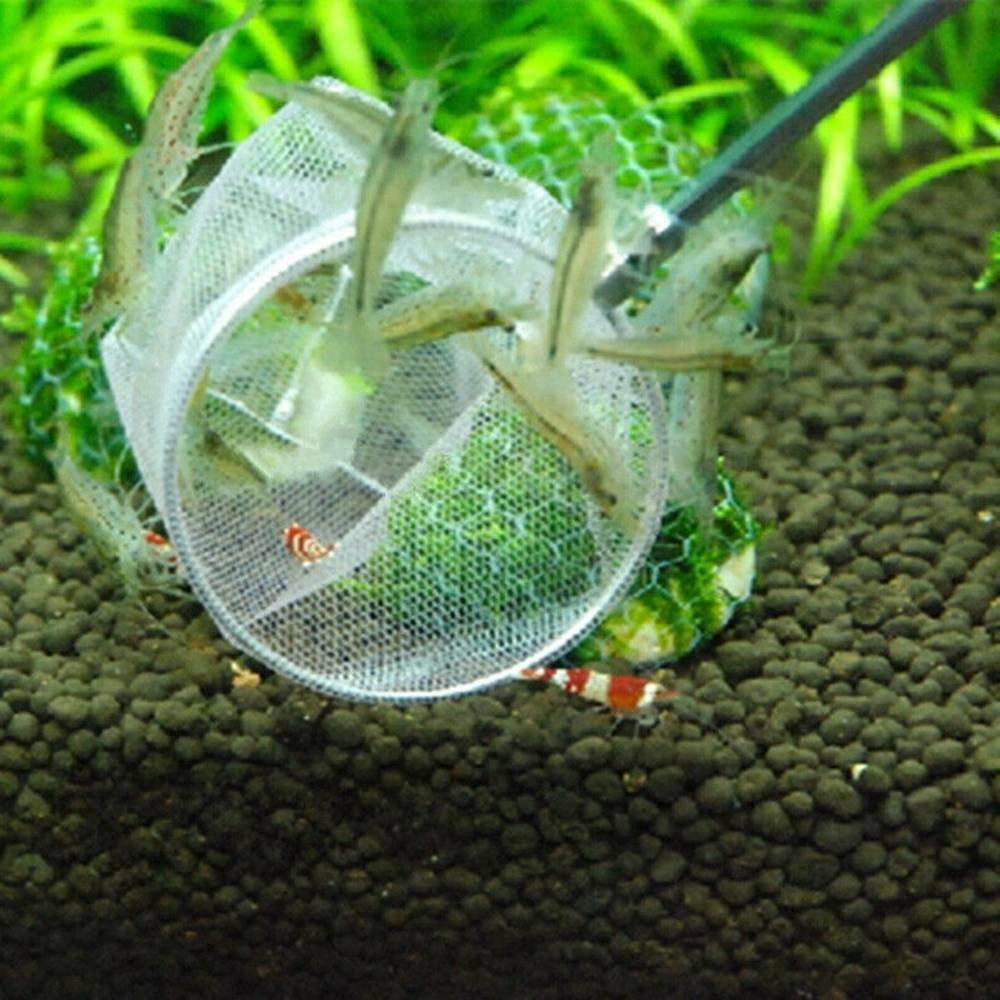 Stainless-Steel Aquarium Fishing Net Fish Tank Fish Shrimp Net Scoop Retractable