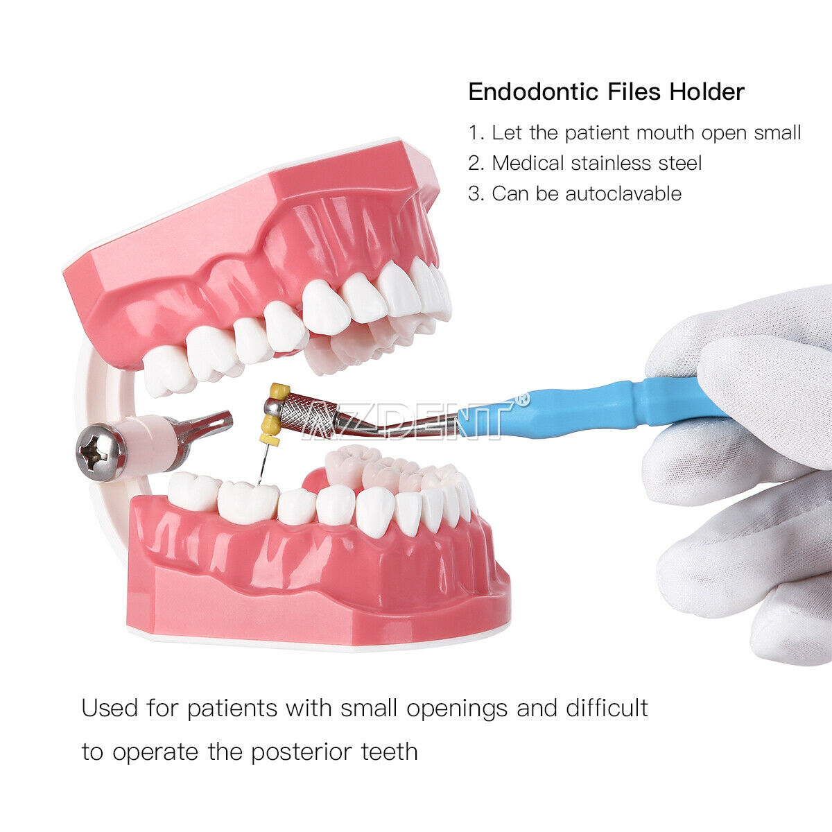 3pc Dental Endodontic File Holder Hand Use Posterior Root Canal Clip 134℃ Blue